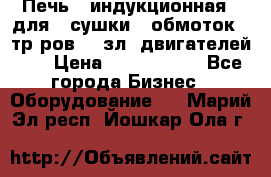 Печь   индукционная   для   сушки   обмоток   тр-ров,   зл. двигателей    › Цена ­ 3 000 000 - Все города Бизнес » Оборудование   . Марий Эл респ.,Йошкар-Ола г.